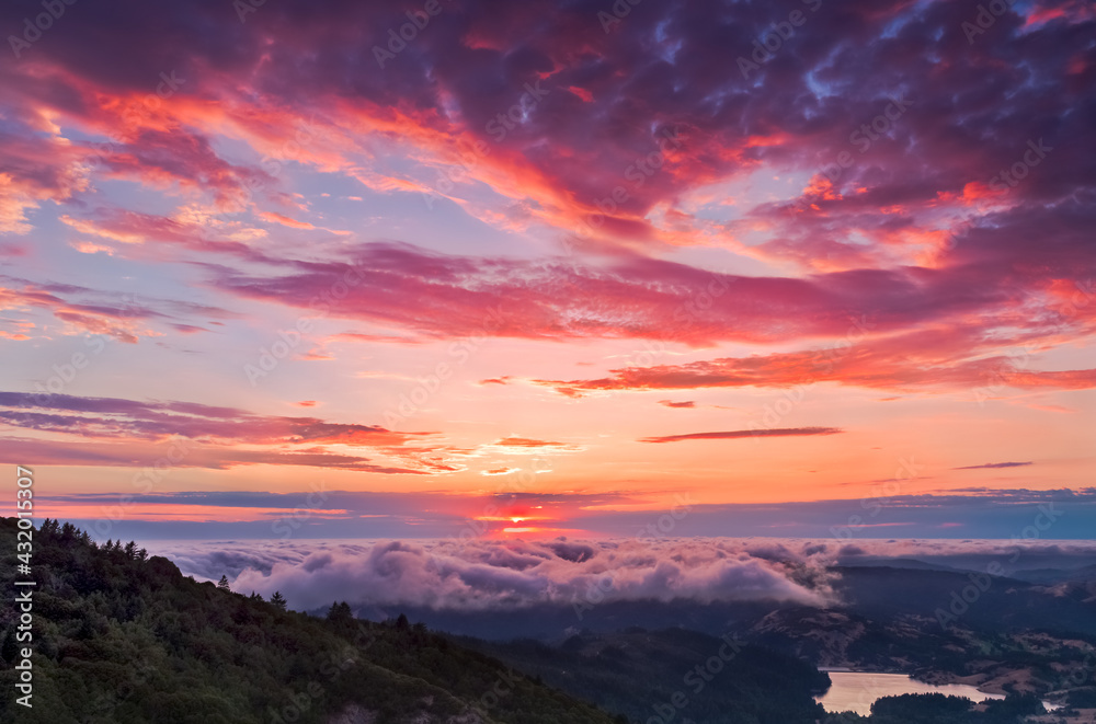 A beautiful and vibrant pink landscape photo from the tallest peak in Marin County, just north of San Francisco A beautiful and vibrant pink landscape photo from the tallest peak in Marin County, just north of San Francisco