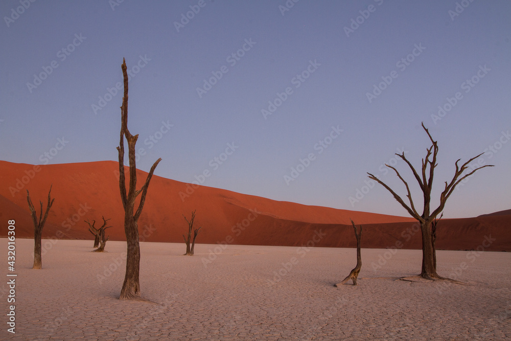 Dead trees and sand dunes after sunset in Dead Vlei, Namibia. Dead trees and sand dunes after sunset in Dead Vlei, Namibia.