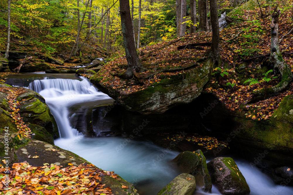 Bear Hole Brook Cascades - Long Exposure of Waterfall in Autumn - Catskill Mountains, New York