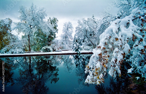 Varsity Lake in winter, University of Colorado campus, Boulder, Colorado. photo