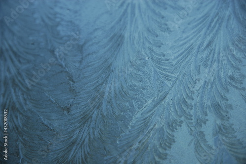 Frost patterns adorn the house window, Portland, Maine photo