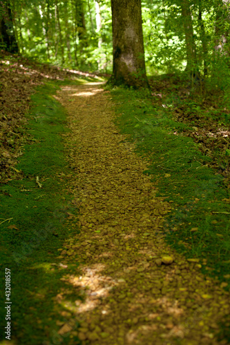 Mile marker 100 to 0, Natchez Trace Parkway, Tennessee and Mississippi, USA photo