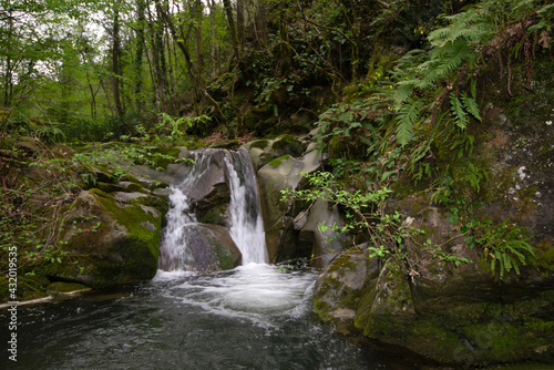waterfall stream in the forest in Tuscany, on early spring