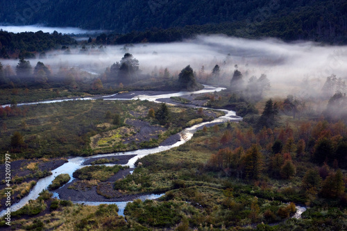 Fog drifts over the Paso de las Nubes in Nahuel Haupi National Park in Patagonia, Argentina. photo