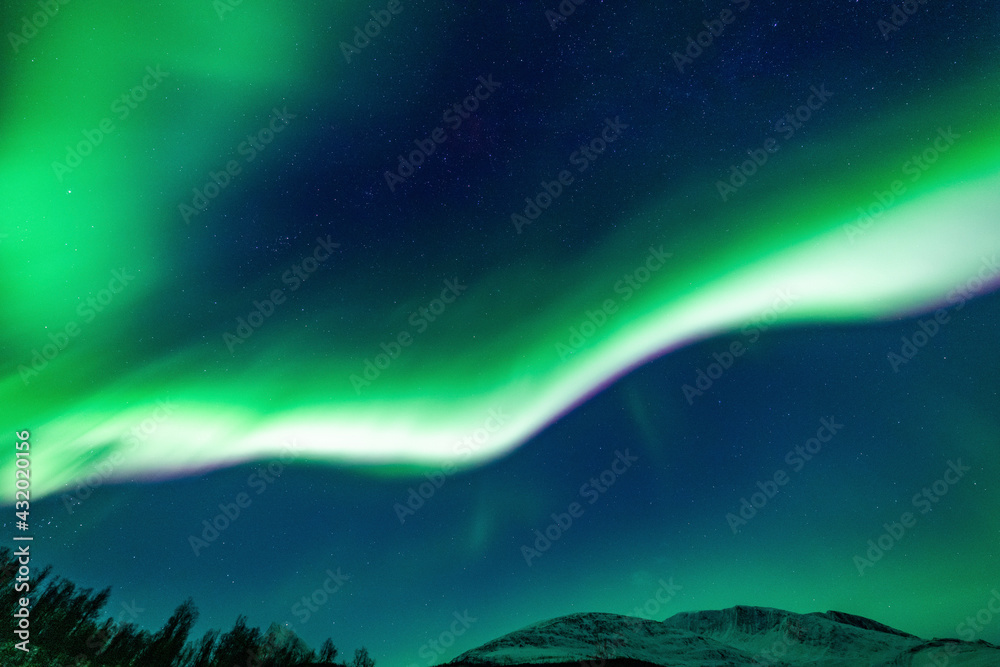 custom made wallpaper toronto digitalNordlichter in Troms, Nordnorwegen. tanzende Aurora Borealis in grün, pink und weiss. wundervolles Naturerlebnis im hohen Norden in einer klaren und kalten Winternacht in den Lyngenalps.