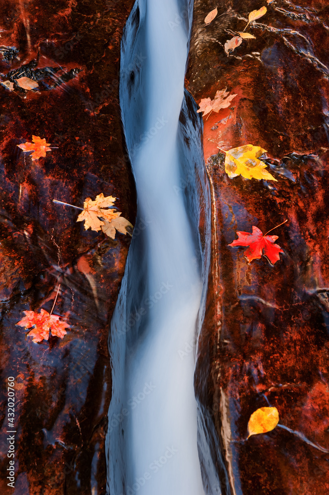 water flowing through a crack outside the subway in Zion National Park ...