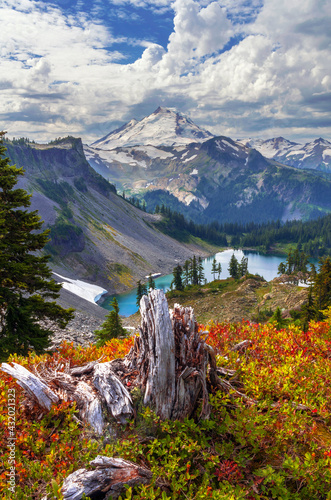 Mt. Baker, Snoqualmie National Forest, Washington State, USA photo