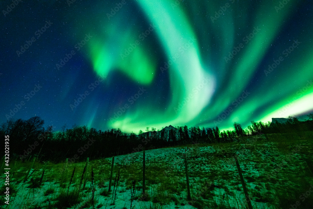 Nordlichter in Troms, Nordnorwegen. tanzende Aurora Borealis in grün, pink und weiss. wundervolles Naturerlebnis im hohen Norden in einer klaren und kalten Winternacht in den Lyngenalps.