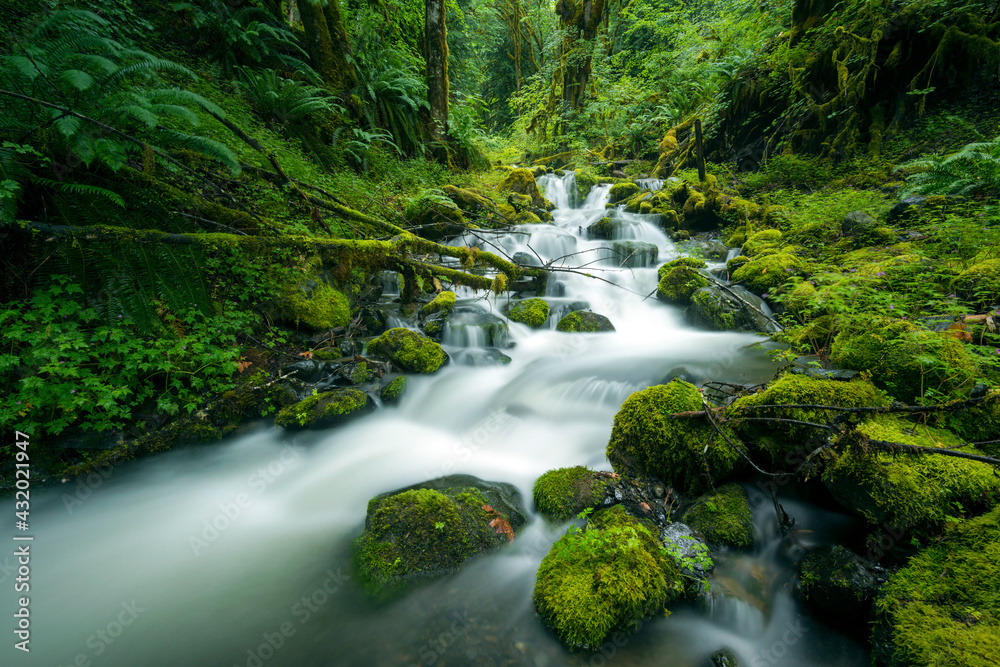 Deer Horn Creek, North Cascades National Park, Washington State, USA Deer Horn Creek, North Cascades National Park, Washington State, USA