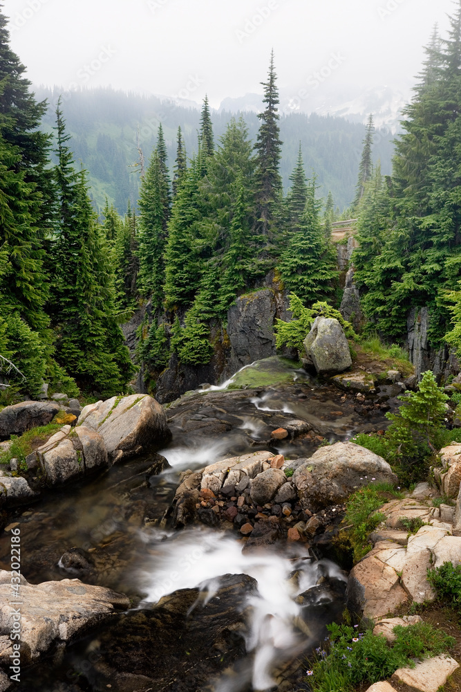 Edith Creek, Paradise Park, Cascade Range, Mount Rainier National Park Edith Creek, Paradise Park, Cascade Range, Mount Rainier National Park
