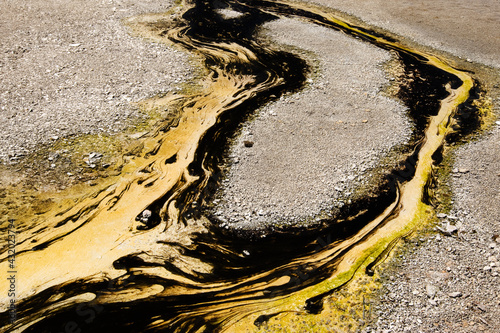 Multiple colors and patterns of geyser bacteria in Yellowstone National Park, Wyoming photo