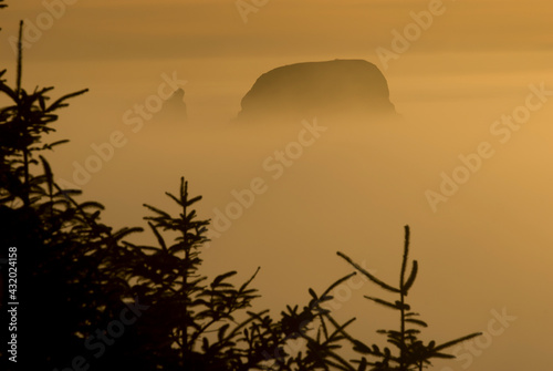 Evening fog shrouds seastacks from the bluff above Shi Shi beach near Cape Flattery, WA photo