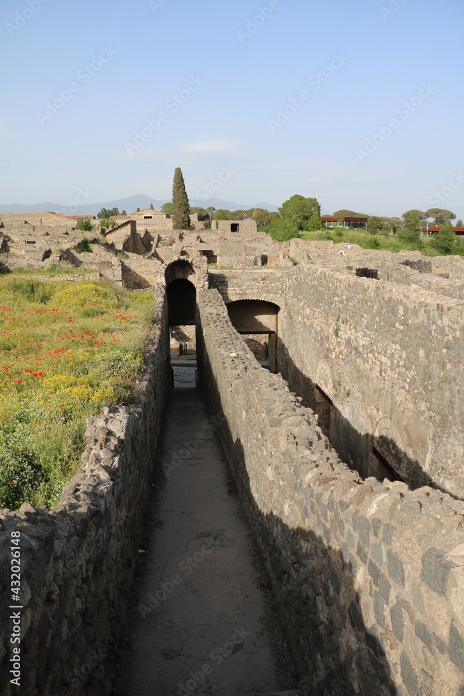 Fototapeta premium Ruins of Pompeii, Italy