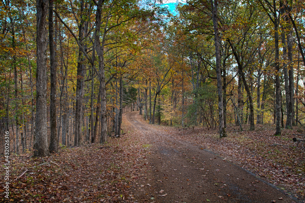Natchez Trace Parkway, Tennessee and Mississippi, USA Natchez Trace Parkway, Tennessee and Mississippi, USA