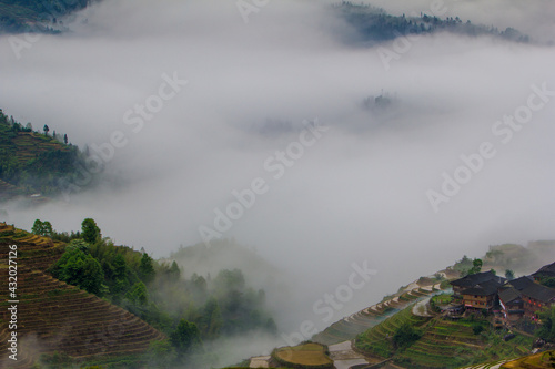 Rice Terraces, China photo