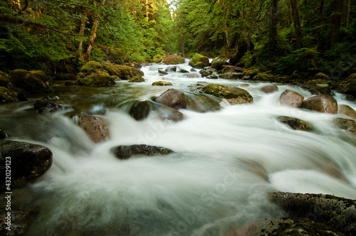 A creek flows through Squamish, Canada photo