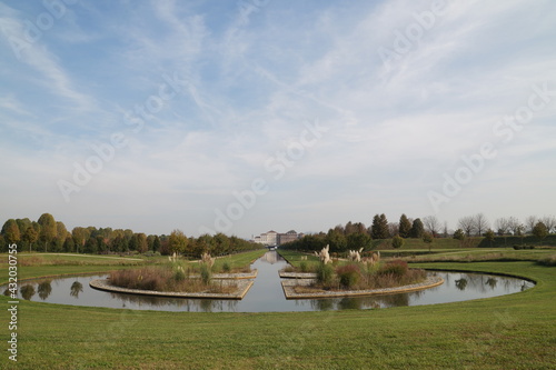 pond in the park