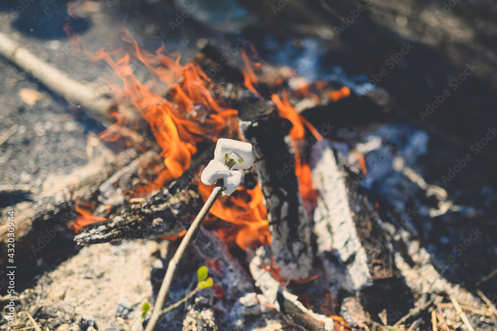 Sweet marshmallow on a stick its toasting at the stake in summer forest in the evening. Vacation and travelling. Sweet marshmallow on a stick its toasting at the stake in summer forest in the evening. Vacation and travelling.