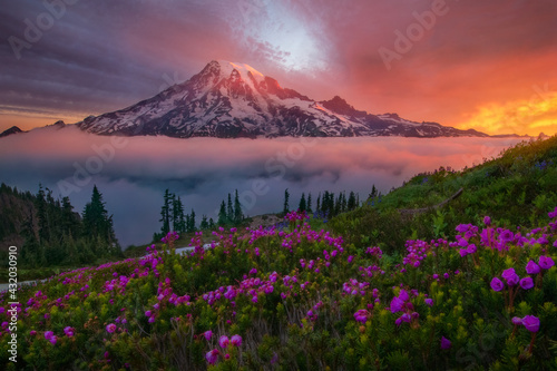 Sunrise light illuminates Mt. Rainier, photographed from high in the Tatoosh Range wilderness. One of the most impressive displays of light I have ever witnessed.