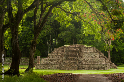 Mayan ruins in Copan, Honduras. photo