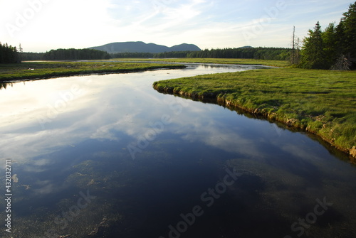 Late afternoon at the Bass Harbor Marsh, Maine