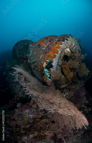 A submerged US army truck from WWII rests on the sea floor in the Solomon Islands. photo