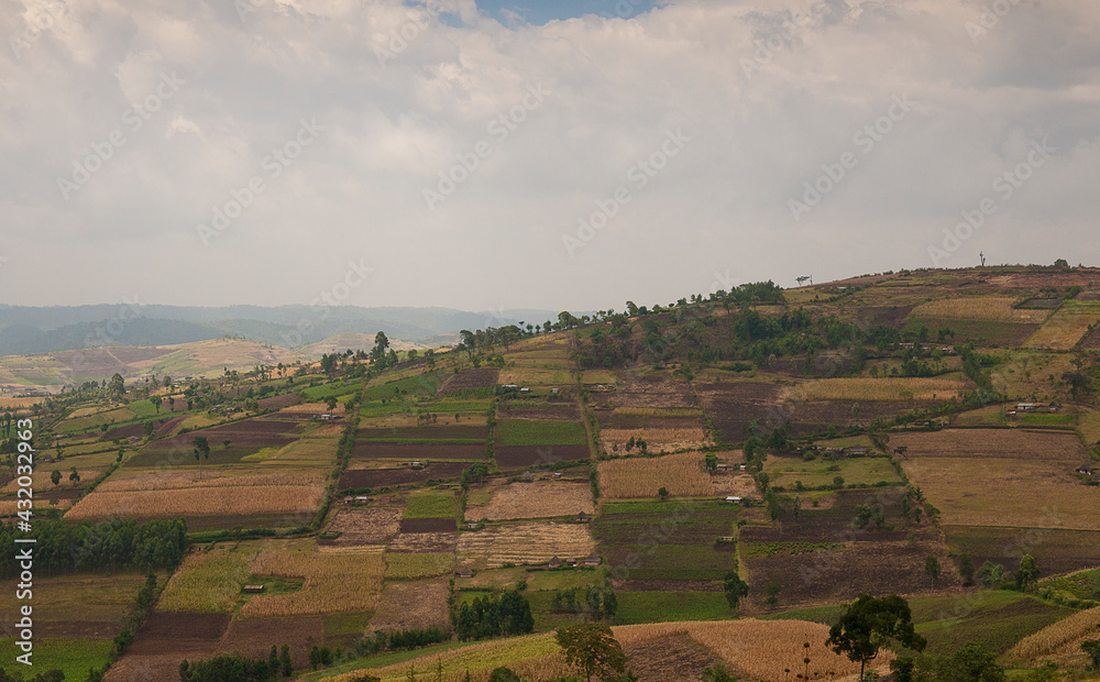 Where forests once grew, farm plots now dominate in Kenya. Where forests once grew, farm plots now dominate in Kenya.