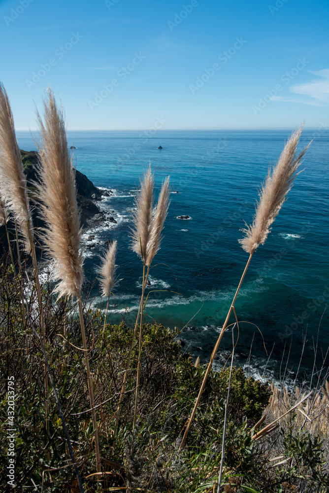 Tall grasses grow in the foreground of Big Sur's dramatic coastline on a clear day in central California. Tall grasses grow in the foreground of Big Sur's dramatic coastline on a clear day in central California.