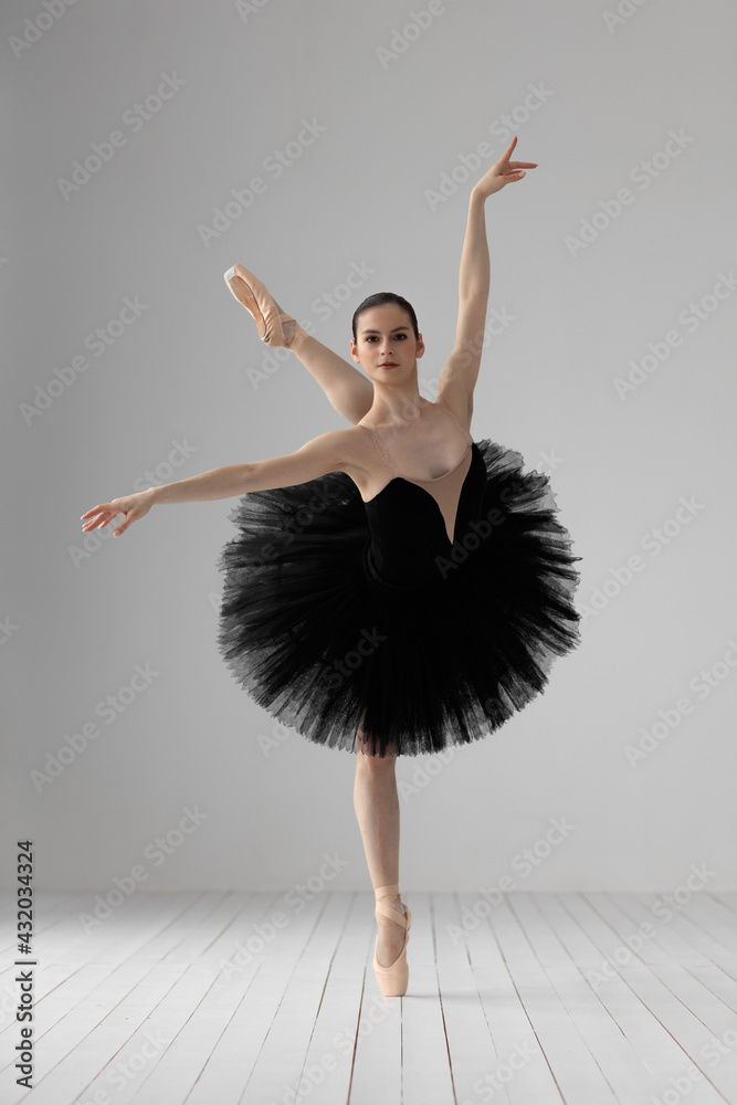 Young beautiful skinny ballerina is posing in studio Young beautiful skinny ballerina is posing in studio