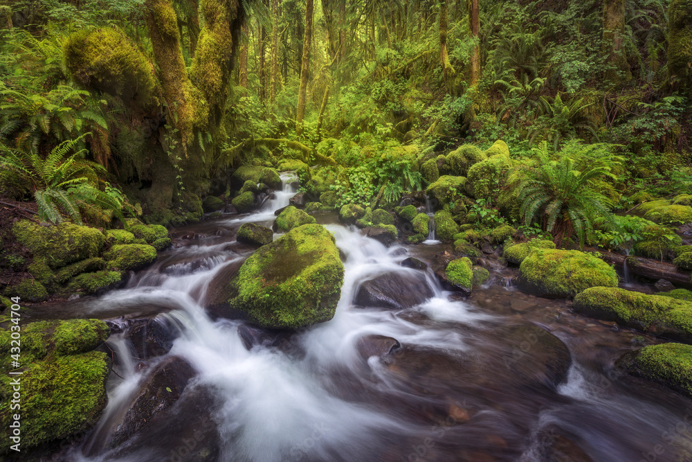 Cascades through mossy green foliage in Oregon's Columbia Gorge. Cascades through mossy green foliage in Oregon's Columbia Gorge.