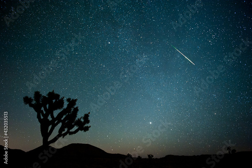 Joshua Tree meteor photo