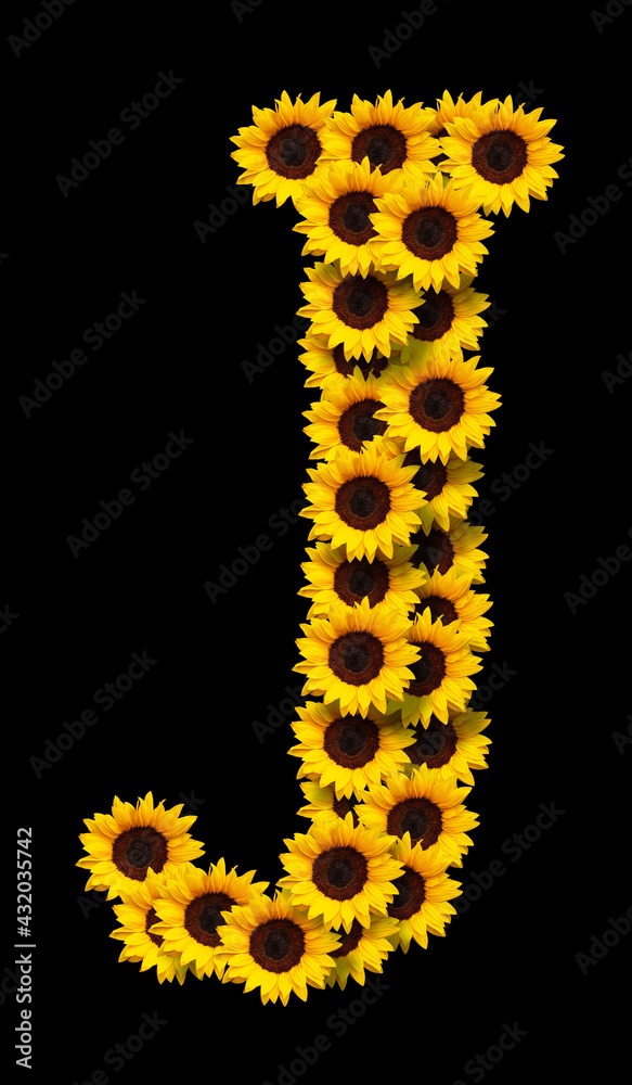 Capital letter J made of yellow sunflowers flowers isolated on black background. Design element for love concepts designs. Ideal for mothers day and spring themes