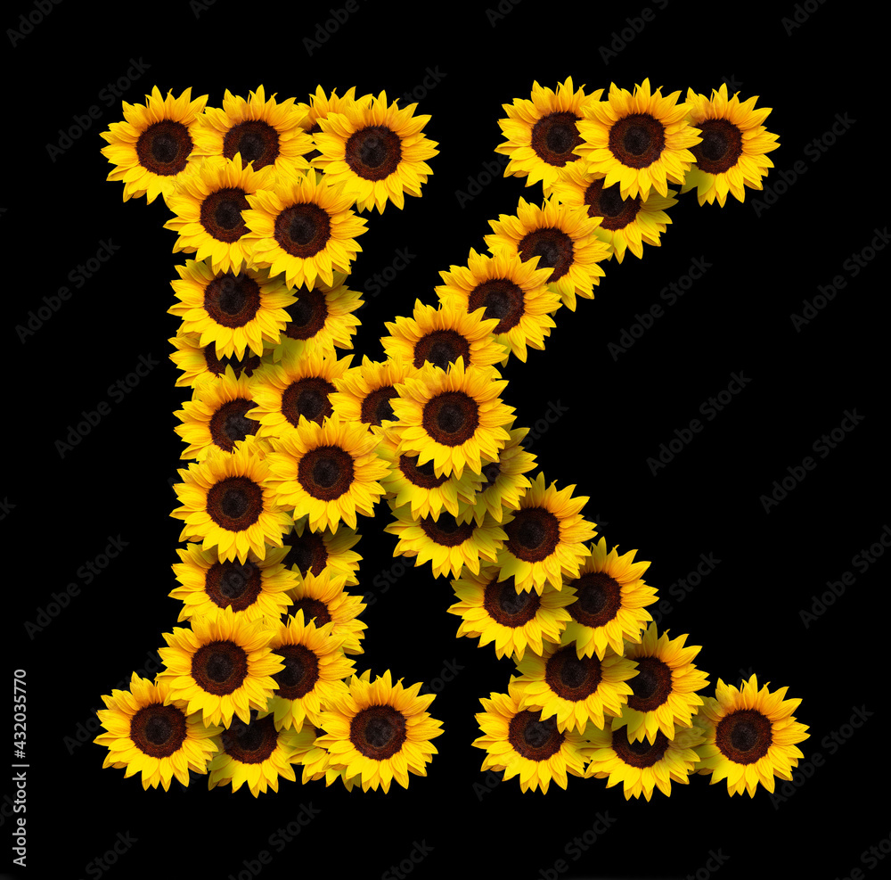Capital letter K made of yellow sunflowers flowers isolated on black background. Design element for love concepts designs. Ideal for mothers day and spring themes Capital letter K made of yellow sunflowers flowers isolated on black background. Design element for love concepts designs. Ideal for mothers day and spring themes