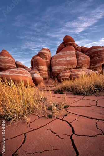 Textures of the desert floor give a nice prelude to the fleeting flora growing amongst striped sandstone formations, remnant of ages past.