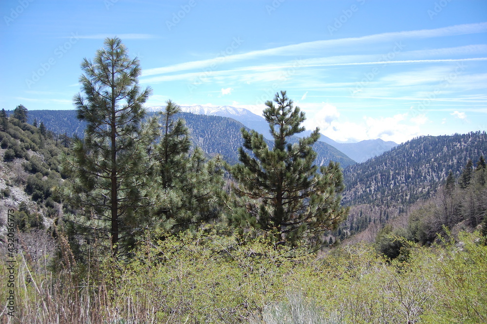 The beautiful scenery of the San Bernardino National Forest, in Southern California.