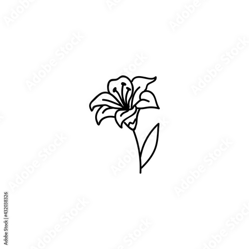 Single hand drawn lily flower. Vector illustration in doodle style.