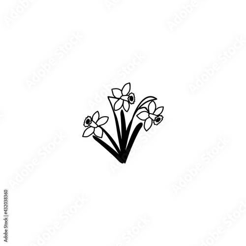 Single hand drawn narcissus. Vector illustration in doodle style.