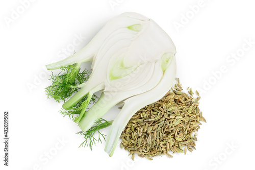 fresh fennel bulb with seed isolated on white background with clipping path and full depth of field. Top view. Flat lay
