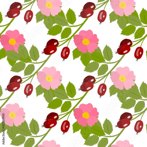 berries of dog rose on a white background in seamless pattern