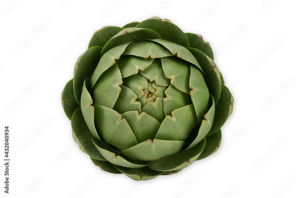 Obraz premium Greeen artichoke isolated on white background. Gresh vegetables.