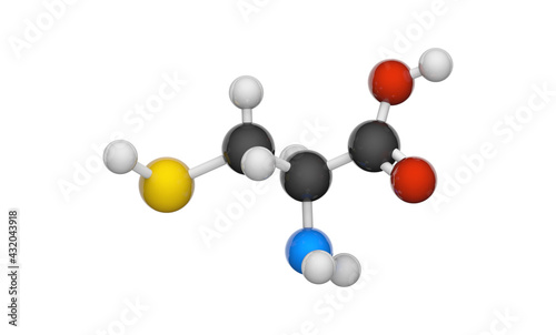 Cysteine (symbol Cys or C) is a semiessential proteinogenic amino acid. Formula: C3H7NO2S. 3D illustration. Chemical structure model: Ball and Stick. Isolated on white background.