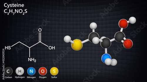 Cysteine (symbol Cys or C) is a semiessential proteinogenic amino acid. Formula: C3H7NO2S. 3D illustration. Chemical structure model: Ball and Stick. photo