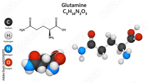 Fototapeta Naklejka Na Ścianę i Meble -  Glutamine (symbol Gln or Q) is an amino acid that is used in the biosynthesis of proteins. Formula: C5H10N2O3. 3D illustration. Chemical structure model: Ball and Stick + Space-Filling.