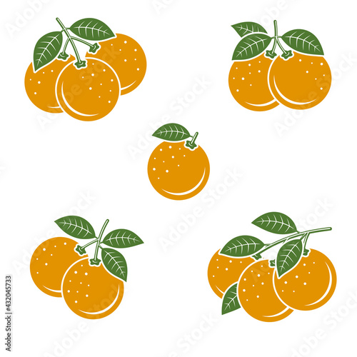 Oranges set. Collection icons orange. Vector