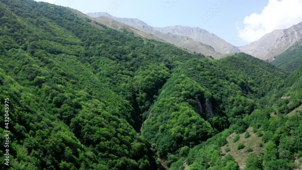 Aerial view of summer forest trees, eco concept, fresh air, beautiful view , traveling Aerial view of summer forest trees, eco concept, fresh air, beautiful view , traveling