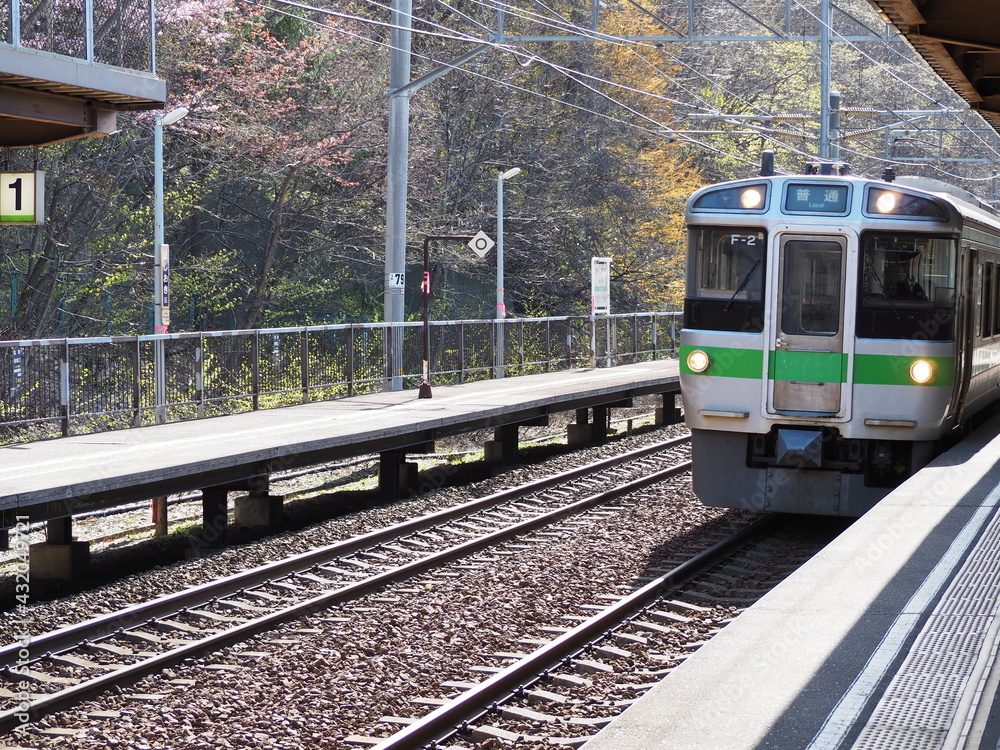 Naklejka premium 北海道にある星置駅のホームと電車