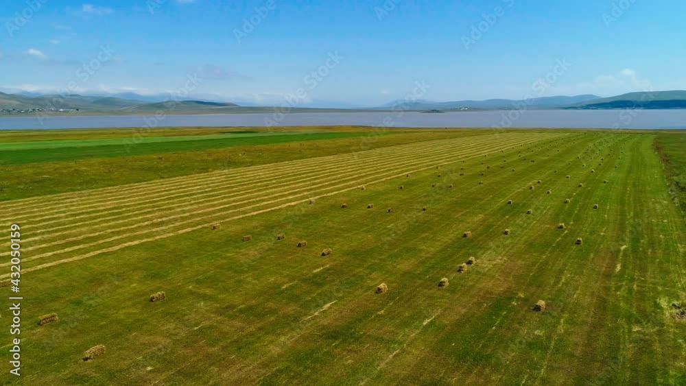 Aerial view of the plantation, behind the lake