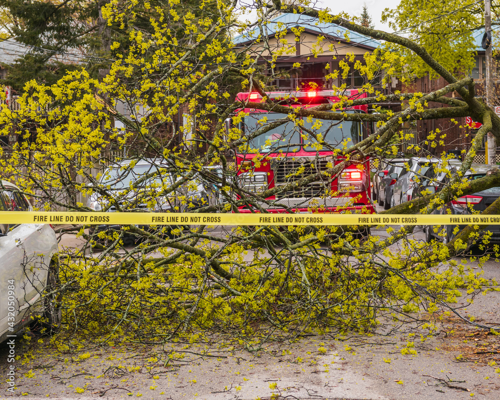 Fire service truck at scene of  huge downed tree branch on residential street (no injuries or significant damage).