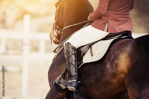 Equestrian sport. The leg of the rider in the stirrup, riding on a bay horse. © Azaliya (Elya Vatel)