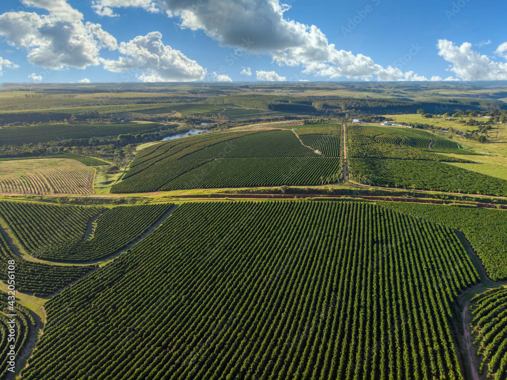 Aerial image of coffee plantation in Brazil